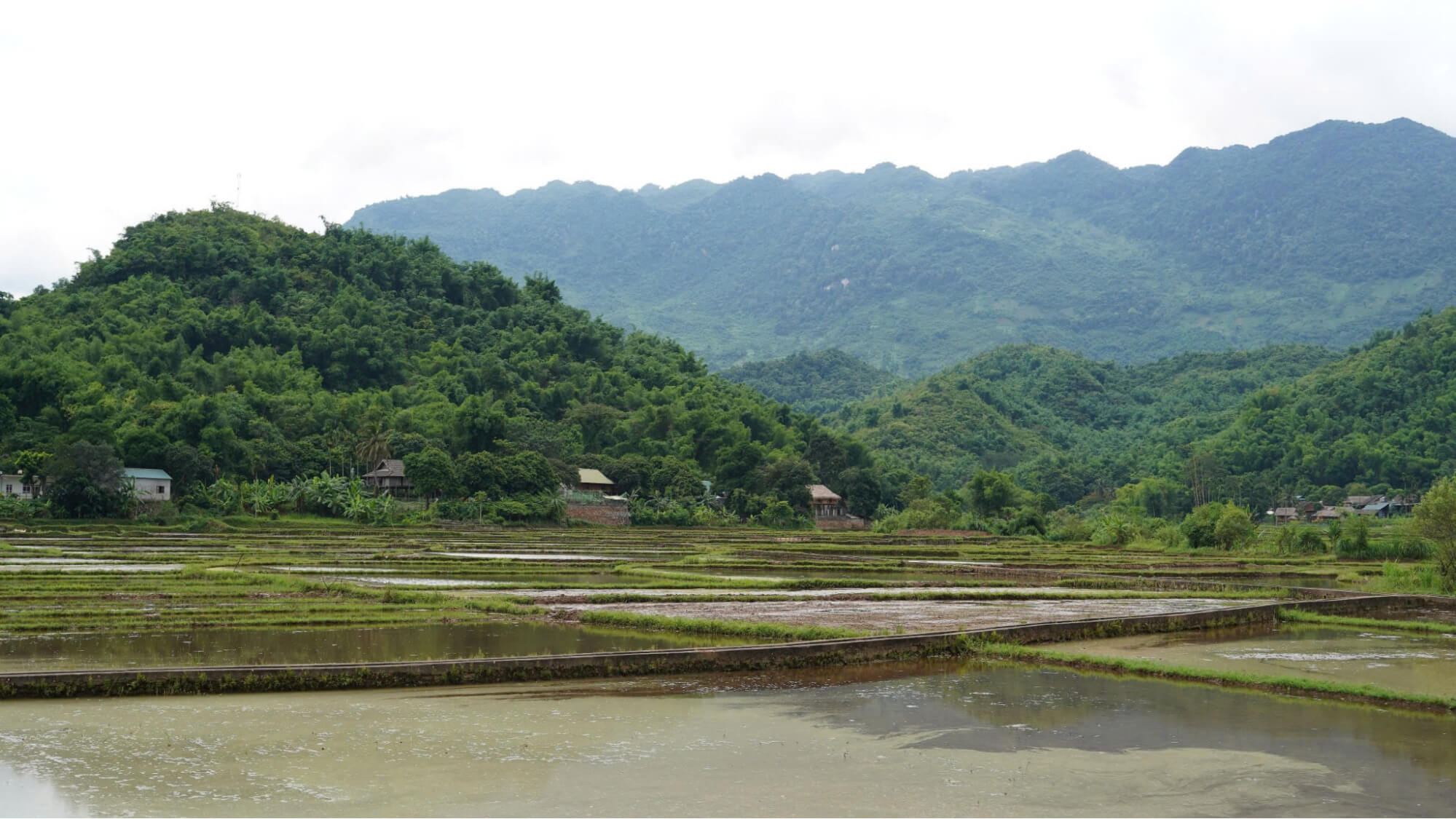 Thời điểm lý tưởng để tham quan Bản Nhót Mai Châu Thời điểm lý tưởng để tham quan Bản Nhót Mai Châu