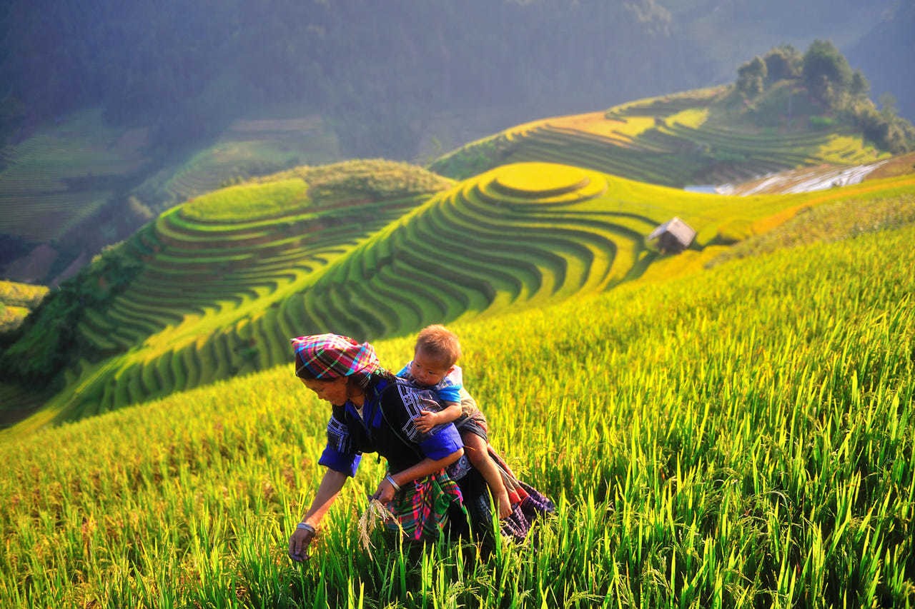 Gợi ý lịch trình Mai Châu Mộc Châu 3 ngày 2 đêm Gợi ý lịch trình Mai Châu Mộc Châu 3 ngày 2 đêm