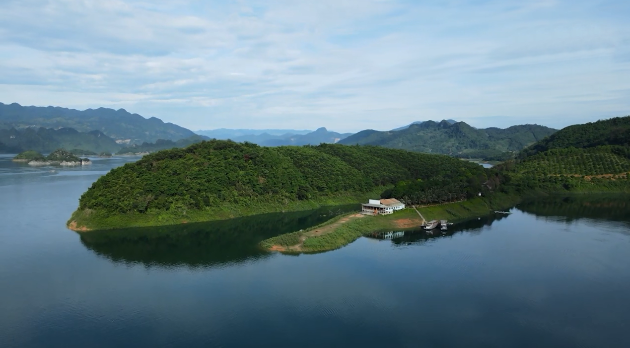 Đảo Dừa Đảo Dừa